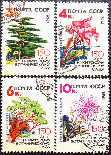 СССР 1962 год . 150 лет Никитскому ботаническому саду .